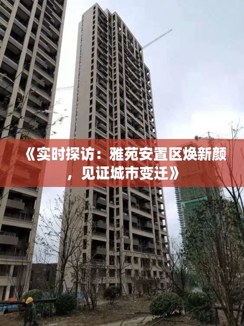 《实时探访：雅苑安置区焕新颜，见证城市变迁》