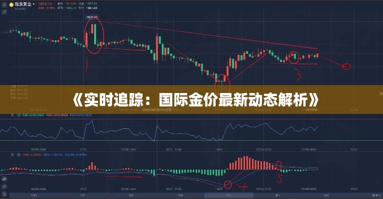 《实时追踪：国际金价最新动态解析》