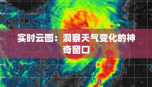 2024年12月13日 第8页