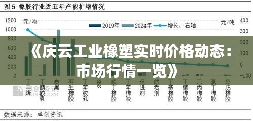 《庆云工业橡塑实时价格动态：市场行情一览》