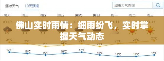 佛山实时雨情：细雨纷飞，实时掌握天气动态