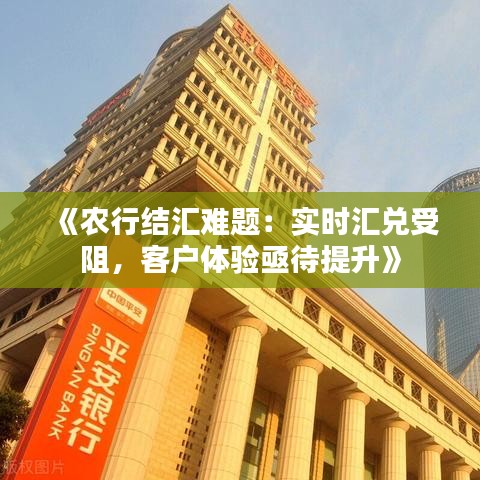 《农行结汇难题：实时汇兑受阻，客户体验亟待提升》