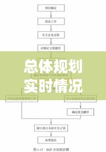 总体规划实时情况说明书：全面解析与前瞻