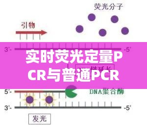 2024年12月14日 第9页