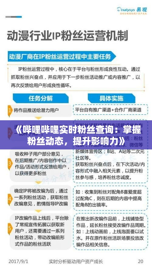 《哔哩哔哩实时粉丝查询：掌握粉丝动态，提升影响力》