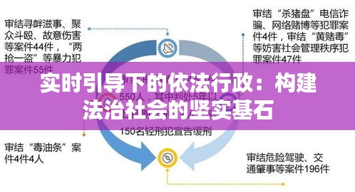 实时引导下的依法行政：构建法治社会的坚实基石