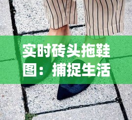 实时砖头拖鞋图：捕捉生活瞬间，展现趣味瞬间