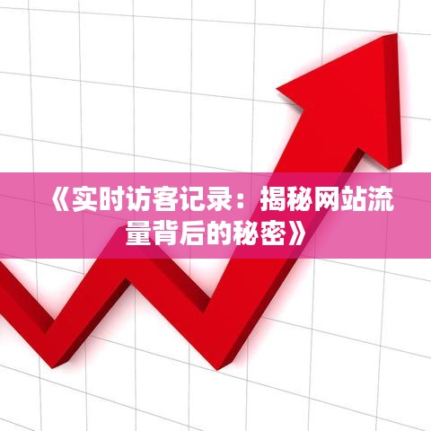 《实时访客记录：揭秘网站流量背后的秘密》