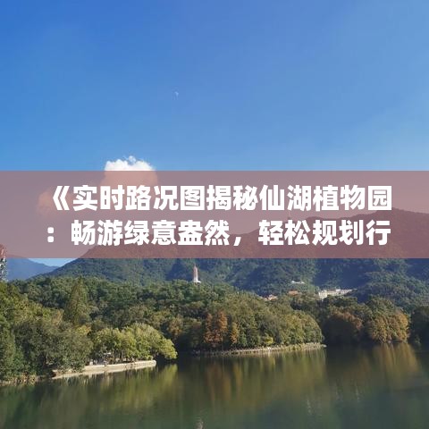 《实时路况图揭秘仙湖植物园：畅游绿意盎然，轻松规划行程》