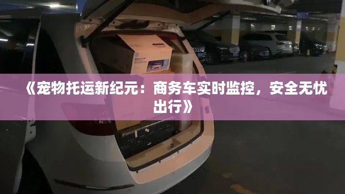 《宠物托运新纪元：商务车实时监控，安全无忧出行》