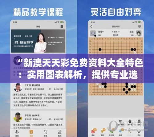 “新澳天天彩免费资料大全特色：实用图表解析，提供专业选号策略”