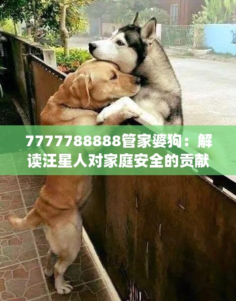 7777788888管家婆狗：解读汪星人对家庭安全的贡献