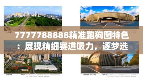 7777788888精准跑狗图特色：展现精细赛道吸力，逐梦选手的心路历程