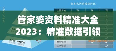 管家婆资料精准大全2023：精准数据引领效率革命，领航现代企业资源管理风潮