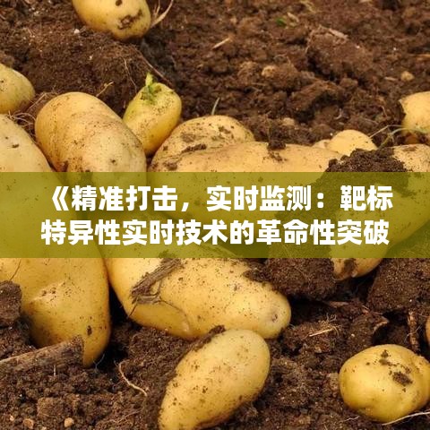 《精准打击，实时监测：靶标特异性实时技术的革命性突破》