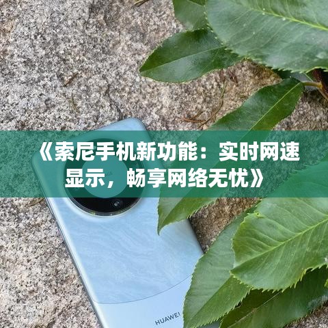 《索尼手机新功能：实时网速显示，畅享网络无忧》