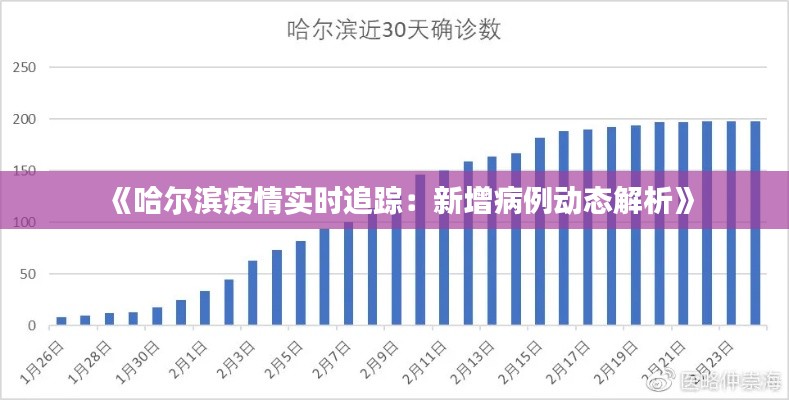 《哈尔滨疫情实时追踪：新增病例动态解析》