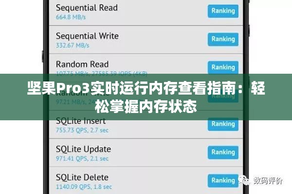 坚果Pro3实时运行内存查看指南：轻松掌握内存状态