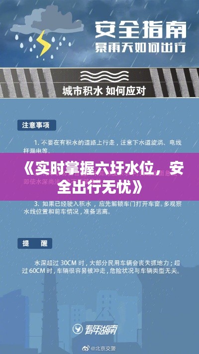 《实时掌握六圩水位，安全出行无忧》