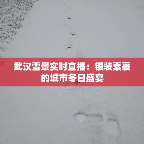 武汉雪景实时直播：银装素裹的城市冬日盛宴