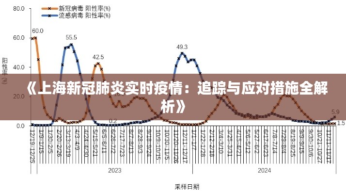 《上海新冠肺炎实时疫情：追踪与应对措施全解析》