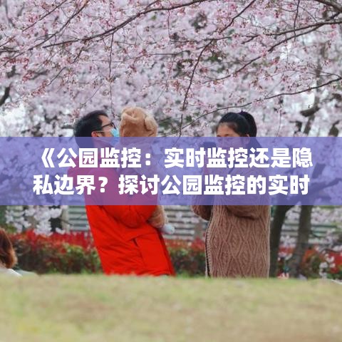 《公园监控：实时监控还是隐私边界？探讨公园监控的实时性问题》