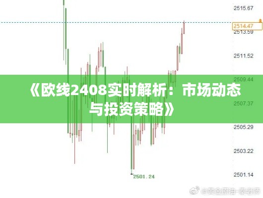 《欧线2408实时解析：市场动态与投资策略》