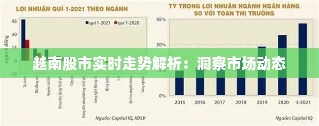 越南股市实时走势解析：洞察市场动态