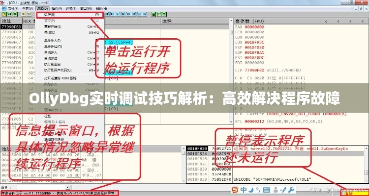 OllyDbg实时调试技巧解析：高效解决程序故障