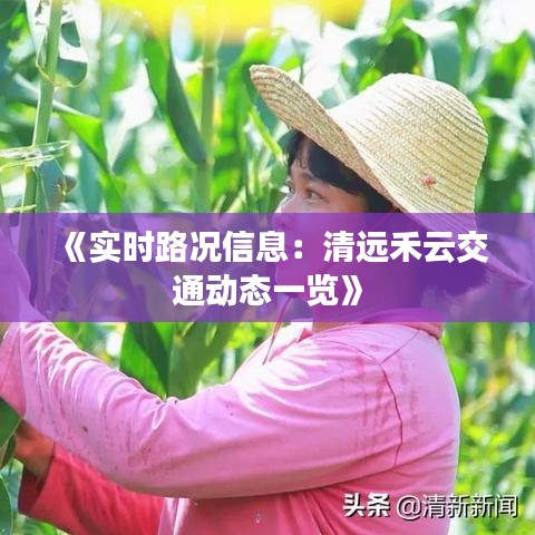 《实时路况信息：清远禾云交通动态一览》