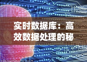 实时数据库：高效数据处理的秘密武器