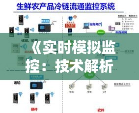 2024年12月21日 第29页