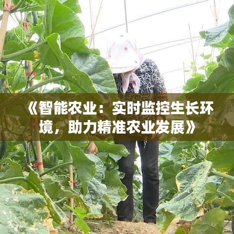 《智能农业：实时监控生长环境，助力精准农业发展》