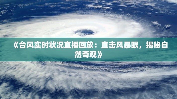 《台风实时状况直播回放：直击风暴眼，揭秘自然奇观》