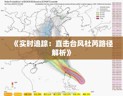 《实时追踪：直击台风杜芮路径解析》