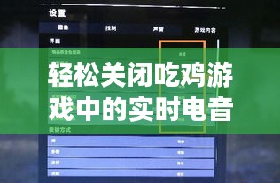 轻松关闭吃鸡游戏中的实时电音：操作指南详解