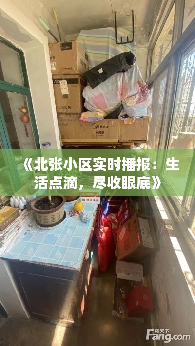 《北张小区实时播报：生活点滴，尽收眼底》