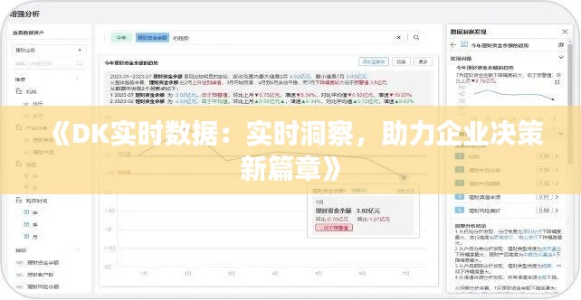 《DK实时数据：实时洞察，助力企业决策新篇章》