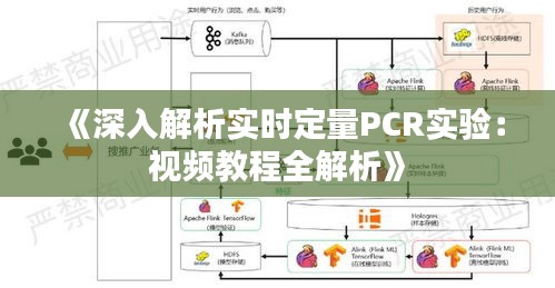 《深入解析实时定量PCR实验：视频教程全解析》