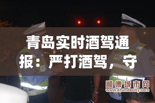 青岛实时酒驾通报：严打酒驾，守护道路交通安全