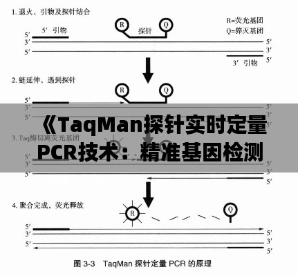 《TaqMan探针实时定量PCR技术：精准基因检测的利器》