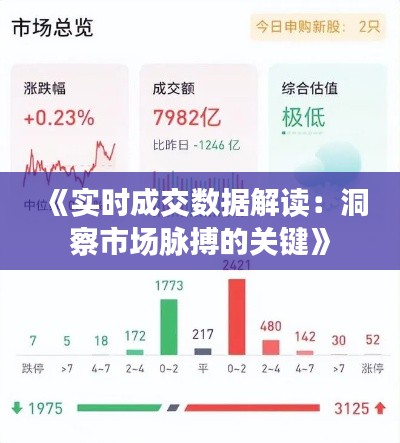 《实时成交数据解读：洞察市场脉搏的关键》