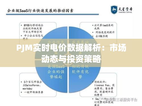 PJM实时电价数据解析：市场动态与投资策略