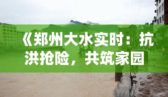 《郑州大水实时：抗洪抢险，共筑家园防线》