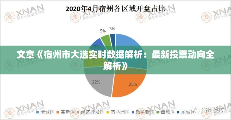 文章《宿州市大选实时数据解析：最新投票动向全解析》