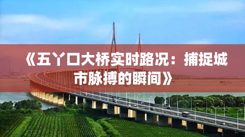 《五丫口大桥实时路况：捕捉城市脉搏的瞬间》