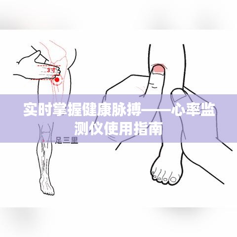 实时掌握健康脉搏——心率监测仪使用指南