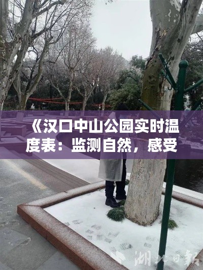 《汉口中山公园实时温度表：监测自然，感受时光流转》