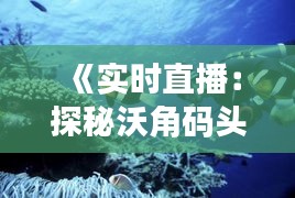 《实时直播：探秘沃角码头，感受海洋魅力》