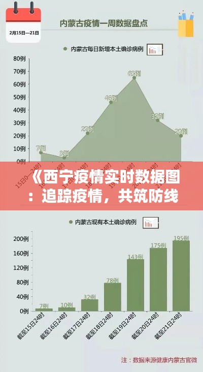 《西宁疫情实时数据图：追踪疫情，共筑防线》